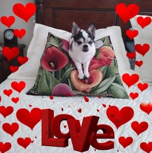 Meet your Posher, Dora lucia